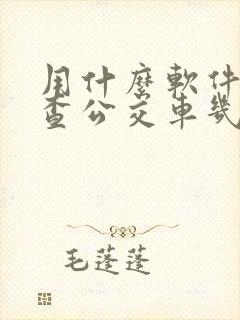用什么软件可以查公交车几点到站