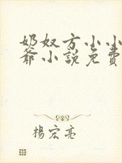 奶奴方小小钺王爷小说免费阅读