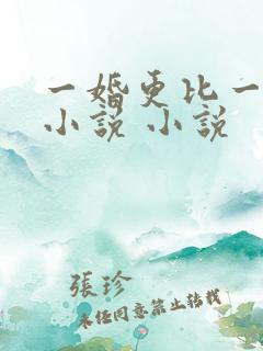 一婚更比一婚高小说 小说