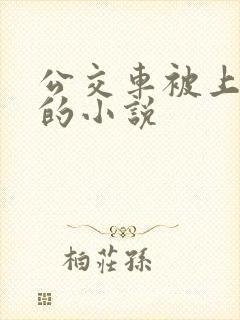 公交车被上高潮的小说