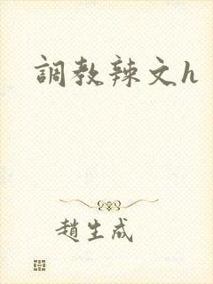 调教辣文h