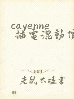 cayenne 插电混动价格