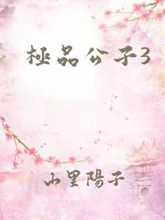 极品公子3