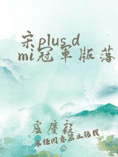 宋plus dmi冠军版落地价