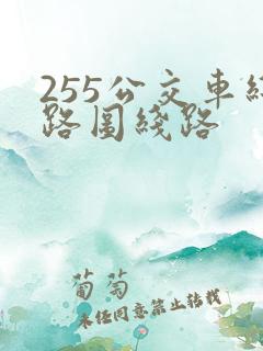 255公交车线路图线路