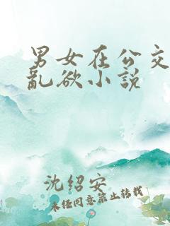 男女在公交车上乱欲小说