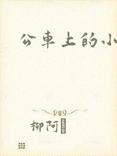 公车上的小说