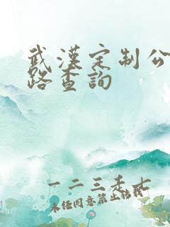 武汉定制公交线路查询