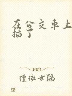 在公交车上被人插了