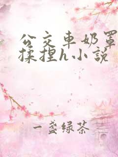 公交车奶罩伸进揉捏h小说