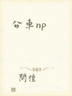 公车np