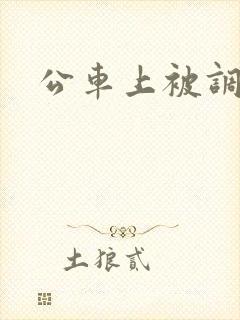 公车上被调教