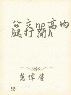 公交np高肉双腿打开h