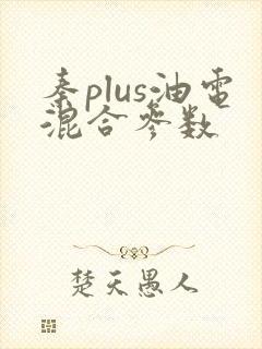 秦plus油电混合参数