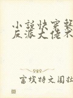 小说快穿系统:反派大佬不好惹