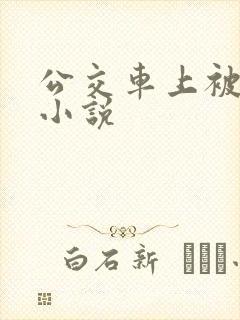 公交车上被摸的小说