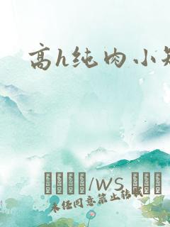 高h纯肉小短文