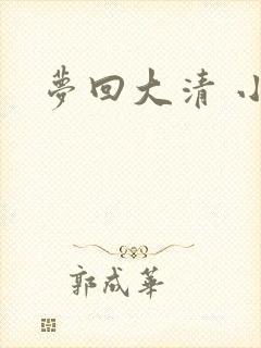 梦回大清 小说