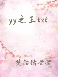 yy之王txt