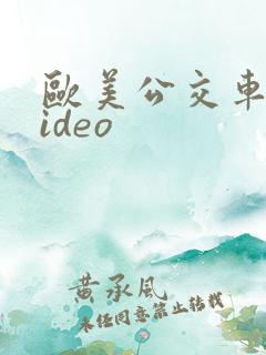 欧美公交车性video