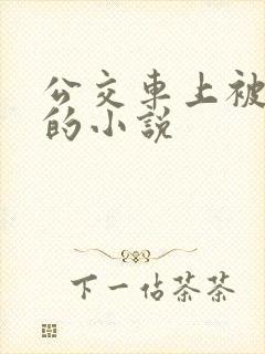 公交车上被进入的小说
