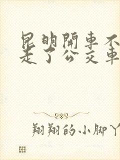 昆明开车不小心走了公交车道