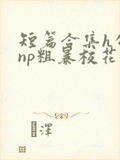 短篇合集h公车np粗暴校花