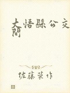 大悟县公交车时间
