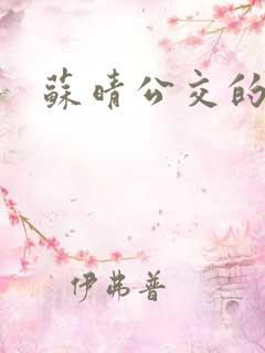 苏晴公交的小说