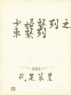 少妇系列之公交车系列