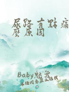 尿路有点痛是什么原因