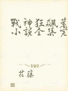 战神狂飙叶无缺小说全集完整版