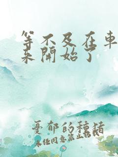 等不及在车里就来开始了