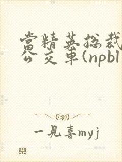 当精英总裁成了公交车(npbl公车)
