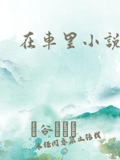 在车里小说np