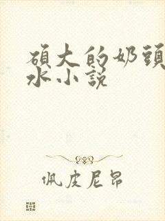 硕大的奶头喷奶水小说