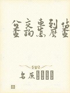 公交车到站实时查询怎么查