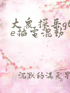 大众 探岳gte插电混动