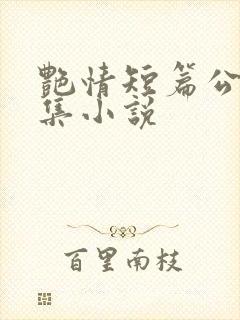 艳情短篇公车合集小说