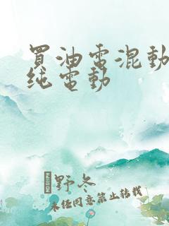 买油电混动还是纯电动