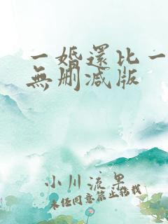 一婚还比一婚高无删减版