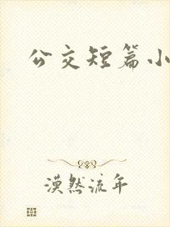 公交短篇小说