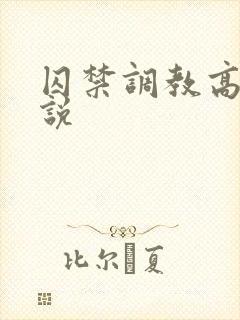 囚禁调教高h小说