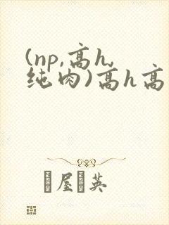 (np,高h,纯肉)高h高辣兽人