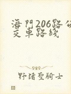 海门206路公交车路线