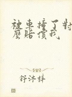 被车撞了对方怎么赔偿我
