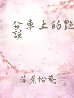公车上的艳遇小说