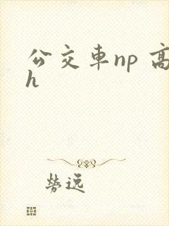 公交车np 高h