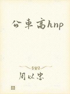 公车高hnp