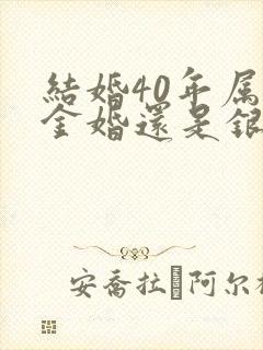 结婚40年属于金婚还是银婚